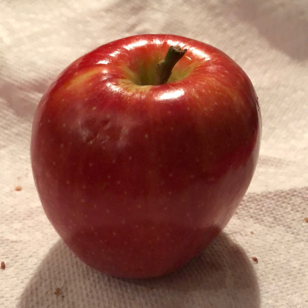 Meet your Posher, Nat